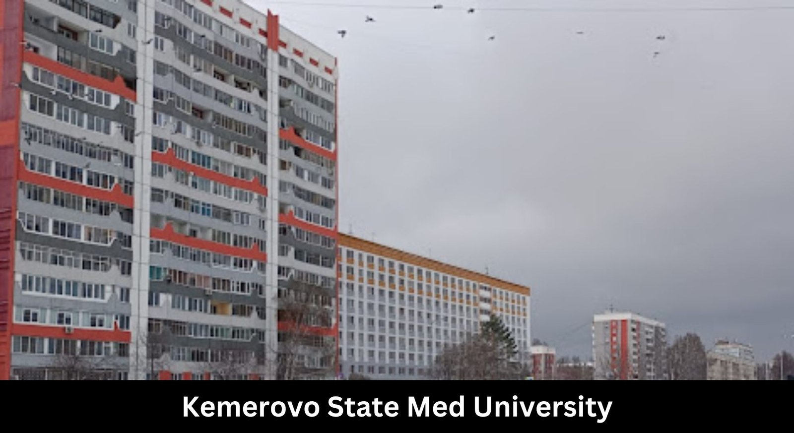Kemerovo State Med University